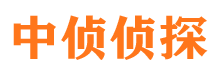 临渭市侦探调查公司